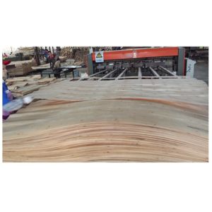 Container Flooring Eucalyptus Core Veneer WBP Phnolic Glue