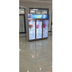 Supermarket Convenient Store Cold Drinks Chiller Visi Cooler