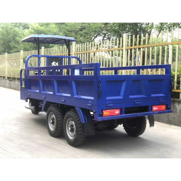 5.00-12/5.00-12 Tyre DAYANG 300cc Double Rear Axle Motorized Tricycle for Heavy Loads