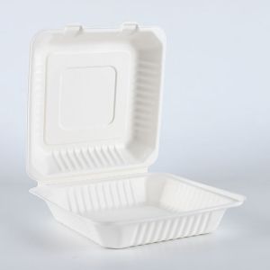 Disposable bagasse pulp food storage containers
