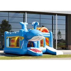 Whale Inflatable Combo