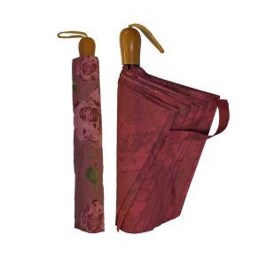 BSCI Printed 2 Fold Auto Open Close Windproof Travel Umbrella