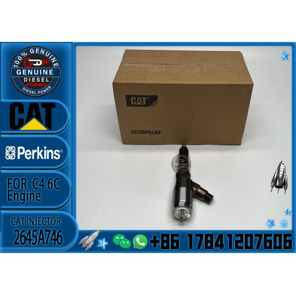 Buy original 323D L excavator fuel injector 10R7671 C4.4 engine 3200677 fuel injector 2645A746 at wholesale prices