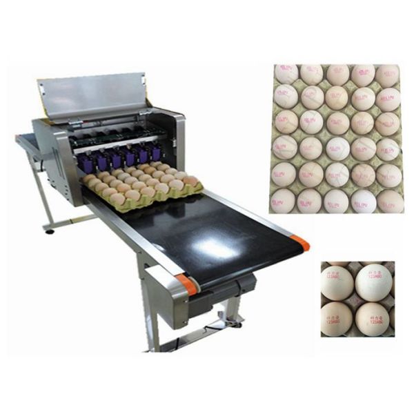 Variable Speed Automatic Egg Stamping Machine With Multiple High Effect