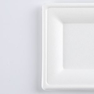 6" Natural Disposable Plates Sugarcane Bagasse Containers Compostable Paper