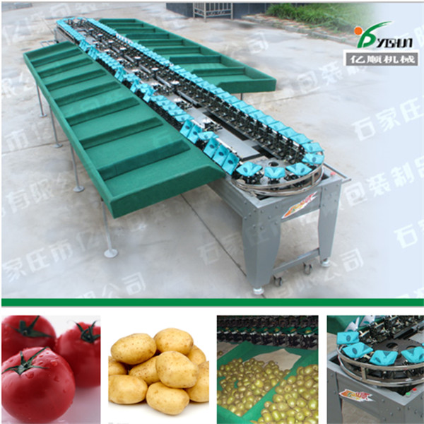 Buy fruit and vegetable grading machine factory price at wholesale prices