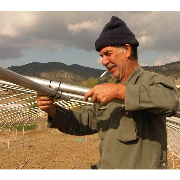 32mm Pipe Diameter Vegetable Green House Customized For Optimal Growth Conditions