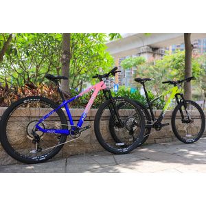 29 Inch Dual Suspension Mountain Bike with Maxxis Tires and PROWHEEL PMX 36T