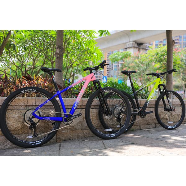 29 Inch Dual Suspension Mountain Bike with Maxxis Tires and PROWHEEL PMX 36T