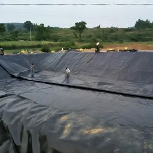 Environmental Protection HDPE Geomembrane Fish Pond Lining 1mm 2mm for Landfill
