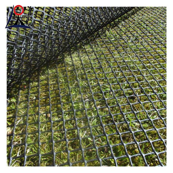 HDPE Extruded Breeding Plastic Flat Mesh Plastic Flat Net Sheet