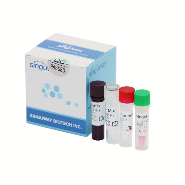 High Precision Covid-19 Real Time PCR Detection Kit Fluorescent Probe 50 Copies