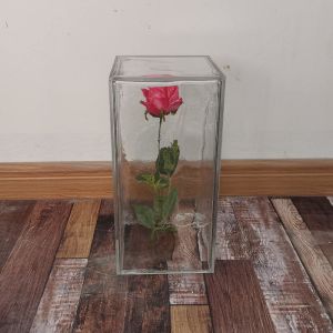 Artificial Transparent Resin Ice Cubes With Flower Inside