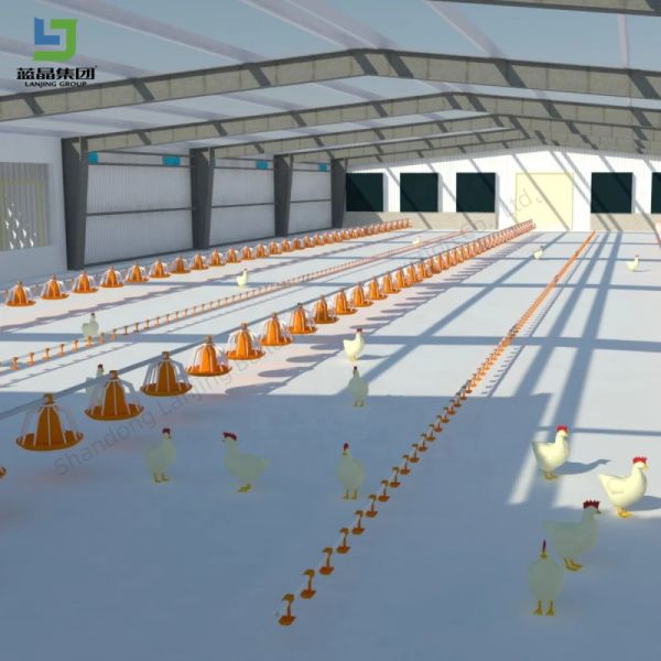 Prefabricated Steel Structure Metal Chicken Layer Broiler Poultry Farm House