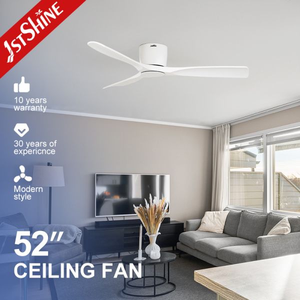 Summer And Winter Decorative ABS Plastic Ceiling Fan 4h Timing For Home Hotel