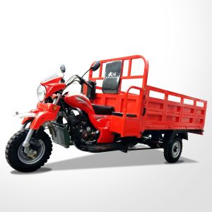 250cc Cargo Tricycle Three Wheel Cargo Motorcycle with Cargo Roof and Iron Shaft
