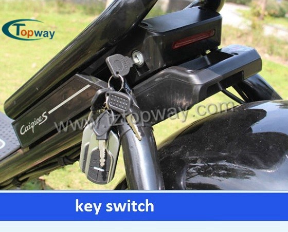 Popular Halley Electric Scooter 1000W 60V Fat Tyre Citycoco