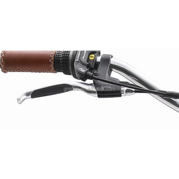 Power Supply Lithium Battery 48V 14AH Electric Beach Cruiser Bicycle for Women Adults