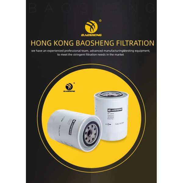 4206080 P552564 Excavator Fuel Filter For HITACHI LOVOL