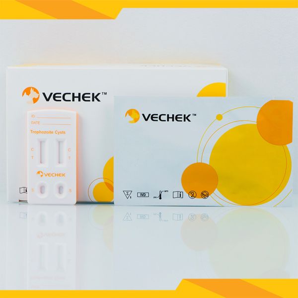 Buy Giardia Lamblia Rapid Test Cassette Feces Specimen Trophozoite And Cysts at wholesale prices