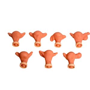 PVC Gynecological Examination Model With Replacement Cervicals