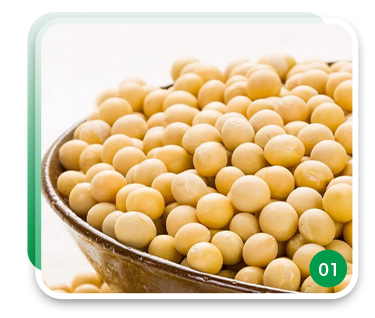 Delicious Natural Brewed Light Soy Sauce 150ML Organic Halal Concentrate Shelf Life 12 Months