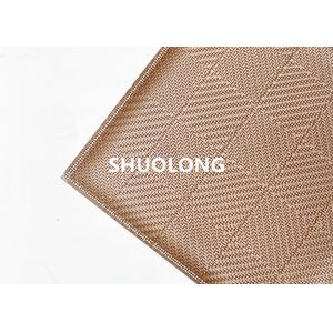 High Temperature Resistant Laminated Glass Wire Mesh Customized Size