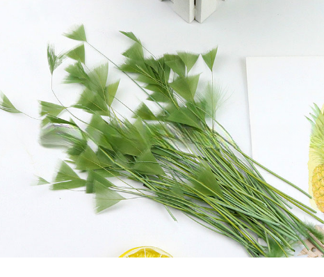 8-10cm Dyed Stripped Goose Carnival Feathers For Customer Requirements