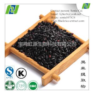 China 25% Organic anthocyanin black rice extract on sale