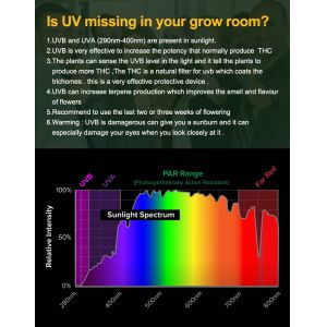 Bavagreen Quantum Board LED 240W Samsung Lm301h Indoor Plant Grow Light