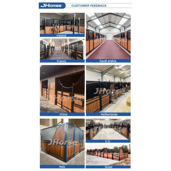 2.2m Height Box Stable European Horse Stalls Equestrian Doors Equine Fronts