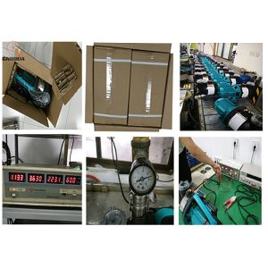 Plastic Water Transfer Portable Jet Garden Pump