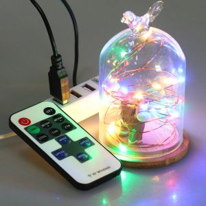 10m 100 LED Multi-Color Mini USB Remote Control String Lights For Christmas,