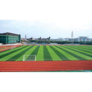 Low Carbon Steel Building Steel Frame Fabrication For Gymnasium