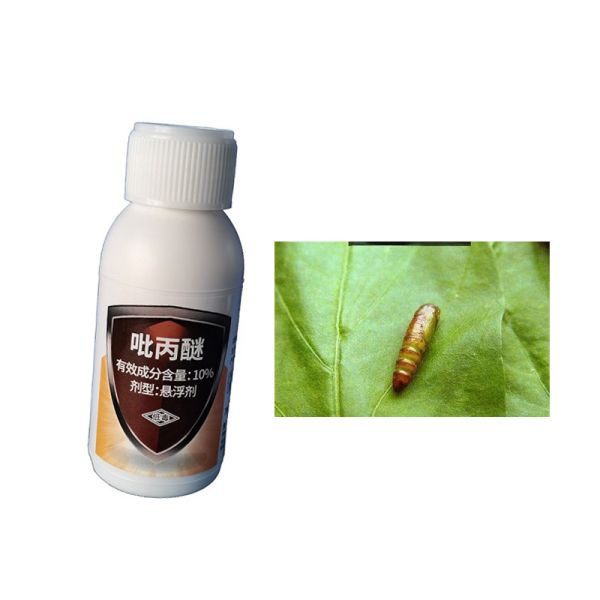 10% Pyriproxyfen Biological Pesticide Mosquito Insecticides Efficient to Kill
