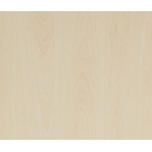 Melamine Impregnated Paper Beech Colors