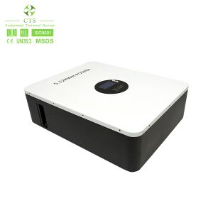 Customized 48V 100Ah 200Ah Energy Storage Battery Rechargeable Power Wall