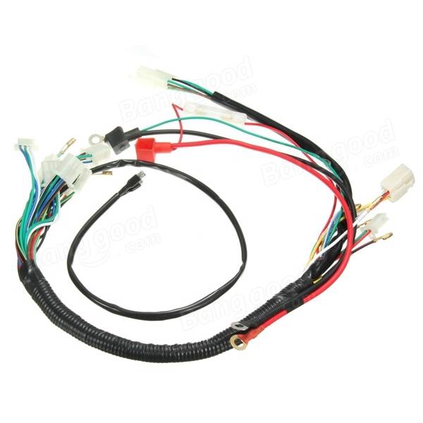 Home Appliance Custom Wire Harness with Y38 K20 Engine and Copper Conductors