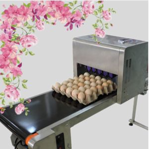 Egg Continuous Inkjet Printer for Date / Serial No / Batch code / Logo