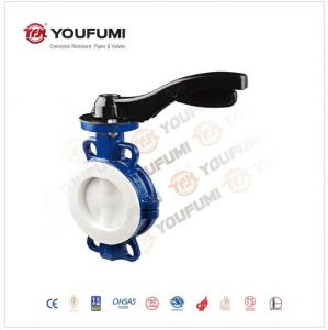 China Corrosion Proof  CF8 PTFE Lined Butterfly Valve Wafer Type For Sea Water on sale