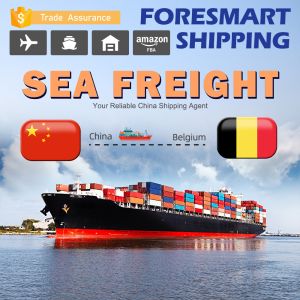 China 40ft China To Belgium International Sea Freight Services on sale