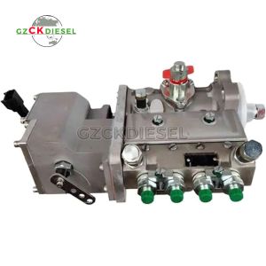 China Fuel Injection Pump 5262669 for Cummins 4BT 3.9 Diesel Engine on sale