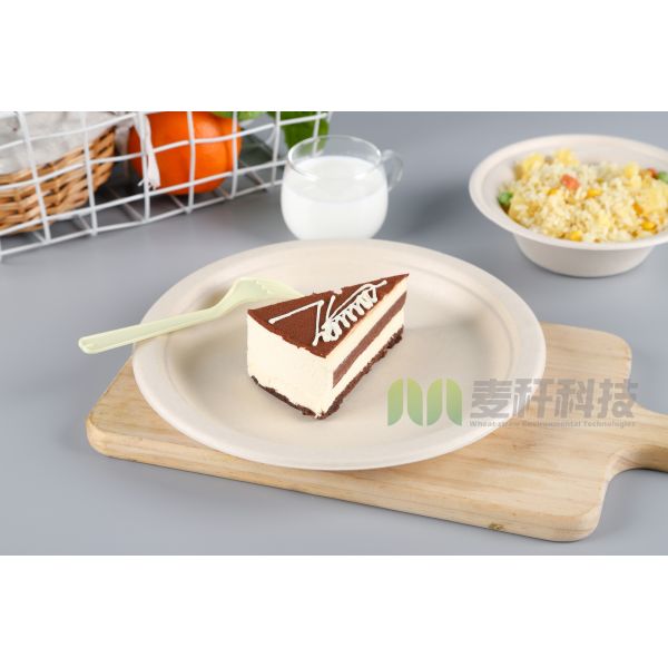 3 parts Round White Dessert Sugarcane Biodegradable sugarcane Disposable Plate
