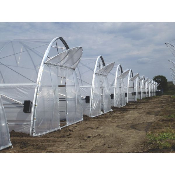 Steel Single Span Greenhouse With PE Film High Disaster Resistance