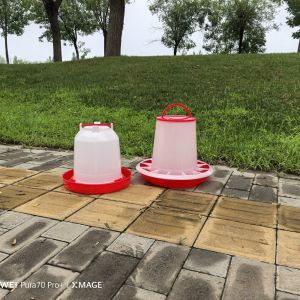 Family Farm Capacity 6L Plastic Feeders For Poultry