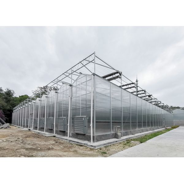 IGreen Polycarbonate Greenhouse Panels for Flowers and Vegetables Customized Length