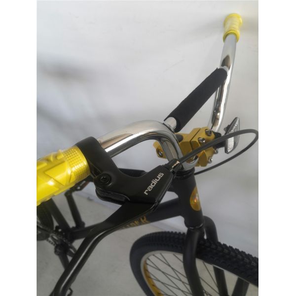 12kg Dirt Jump Freestyle Cruiser Street Rocker BMX Bike 29 Inch Rim Aluminum Material