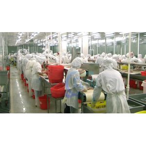 Many Cases Hot Sale Tilapia Peeling Machine 0.75KW Tilapia Skinner High Stable