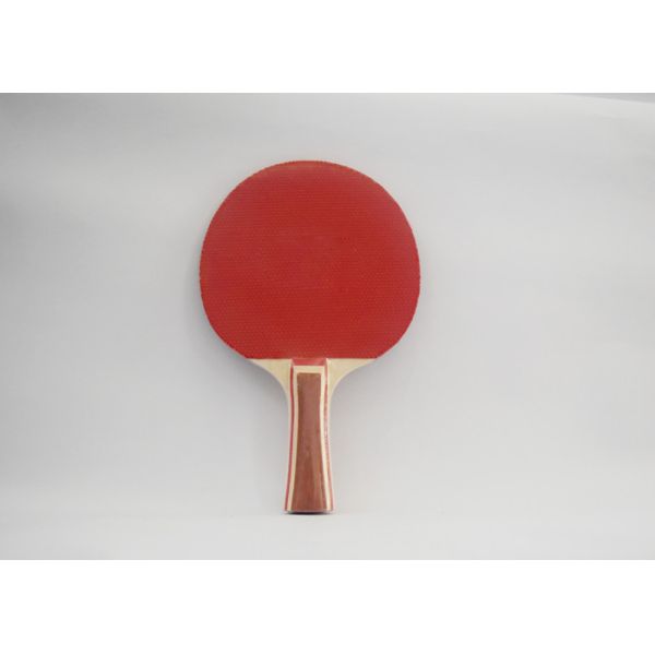 Buy No Spone Ping Pong Bat For Training With Colorful Lines Inlaid Handle at wholesale prices