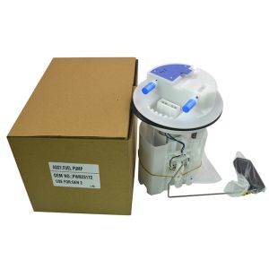 Electric Fuel Pump Assembly For Peugeot Citroen Xantia A2C53061198 PW823172